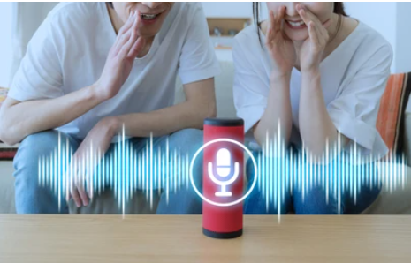 Smart Voice (Google/Alexa) Assistant Install